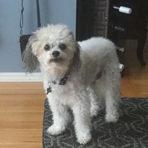 Meet your Posher, Beverly